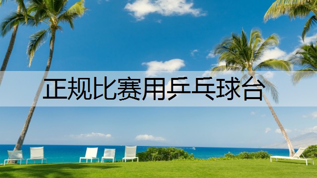 正规比赛用乒乓球台