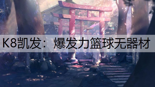 K8凯发：爆发力篮球无器材
