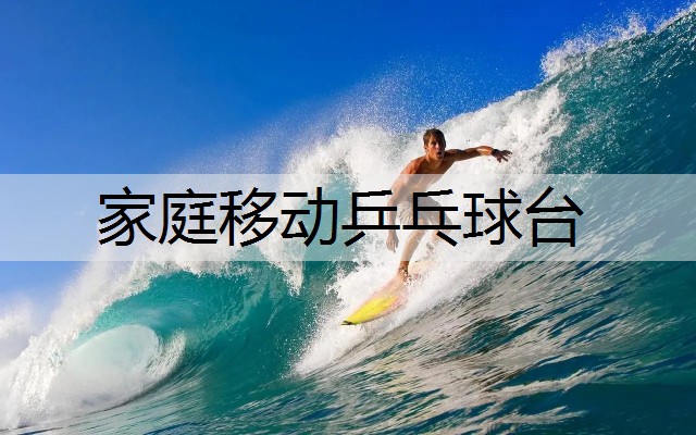 家庭移动乒乓球台