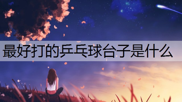 最好打的乒乓球台子是什么