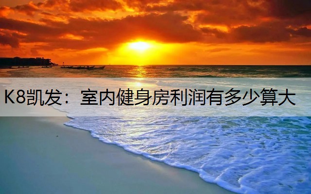 K8凯发：室内健身房利润有多少算大