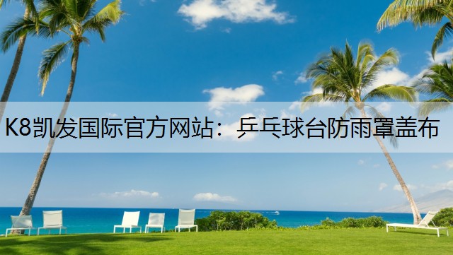 K8凯发国际官方网站：乒乓球台防雨罩盖布