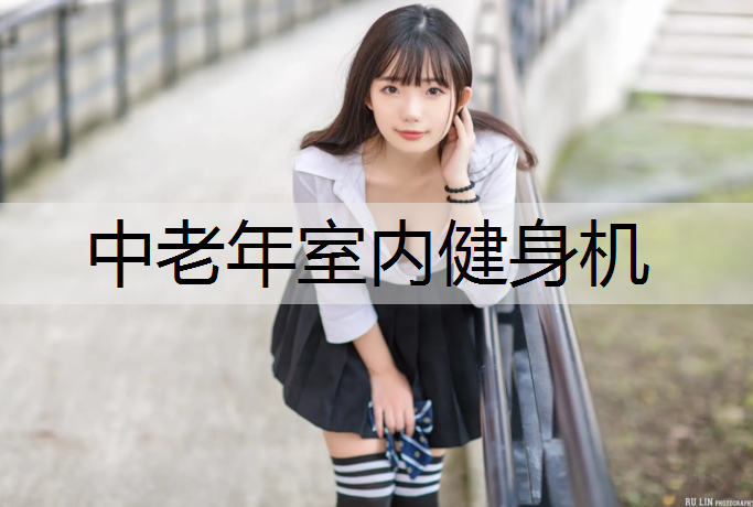 中老年室内健身机