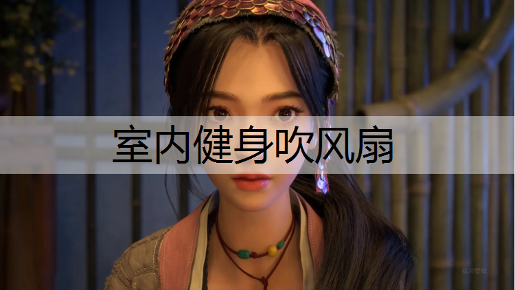 室内健身吹风扇