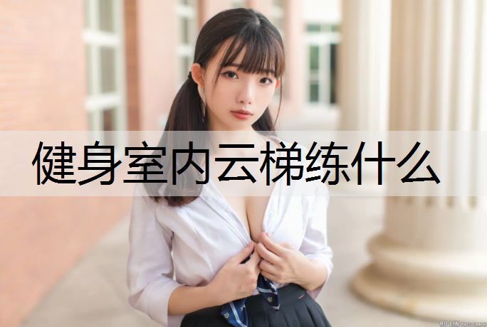 健身室内云梯练什么