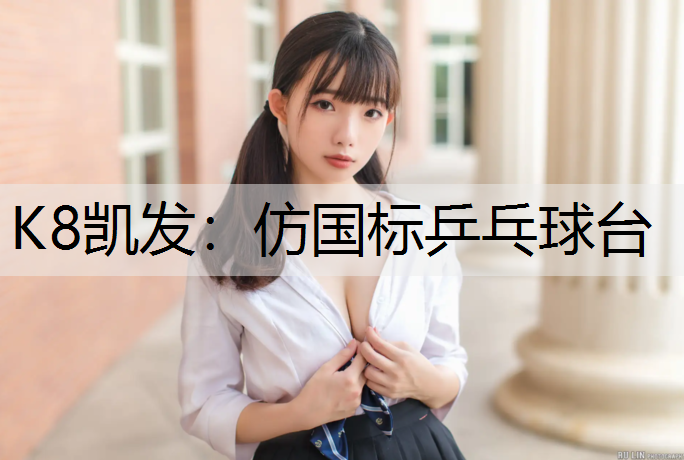 K8凯发：仿国标乒乓球台