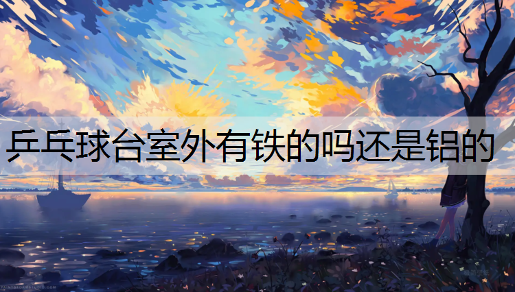 乒乓球台室外有铁的吗还是铝的