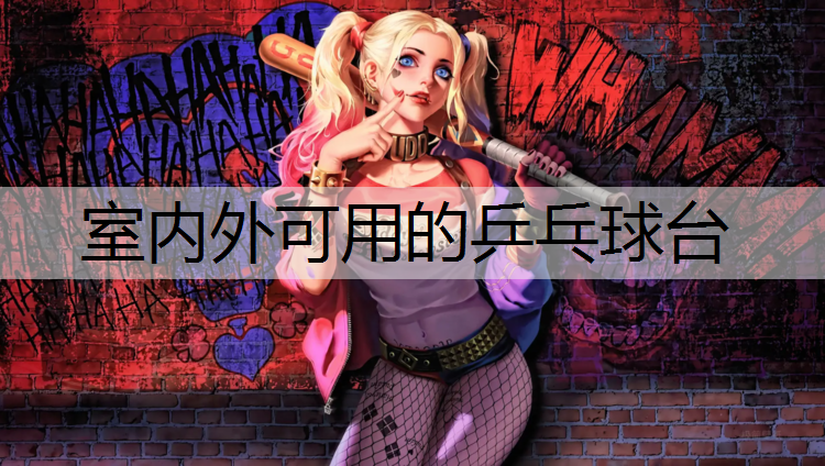 室内外可用的乒乓球台