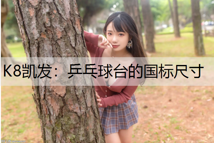 K8凯发：乒乓球台的国标尺寸