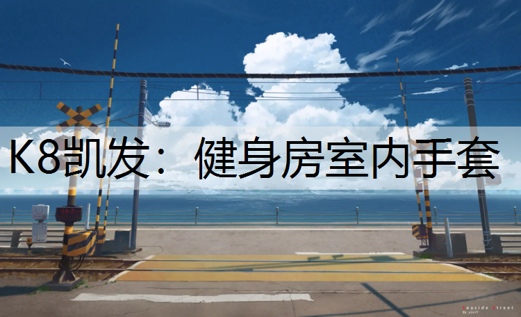 K8凯发：健身房室内手套