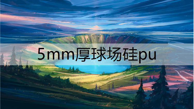 5mm厚球场硅pu