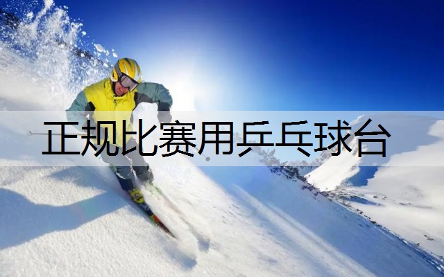 正规比赛用乒乓球台