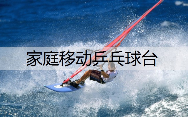 家庭移动乒乓球台