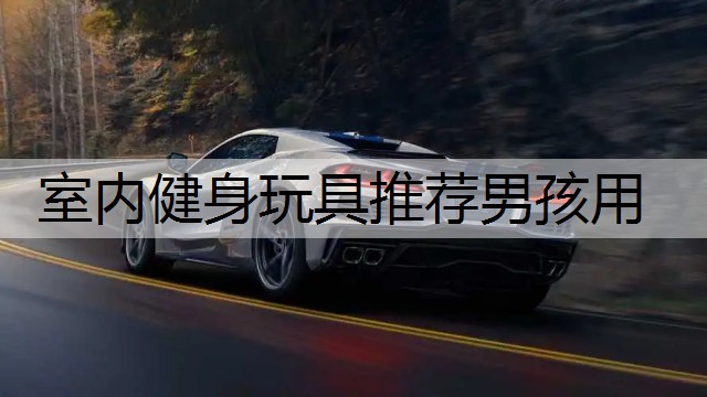 室内健身玩具推荐男孩用